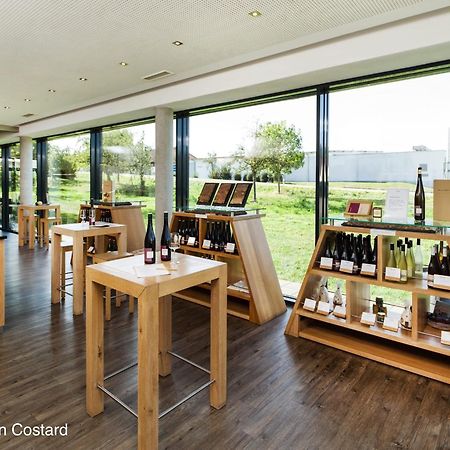 Meyerhof - Bioweingut, Vinothek & Gaestehaus Flonheim Eksteriør bilde