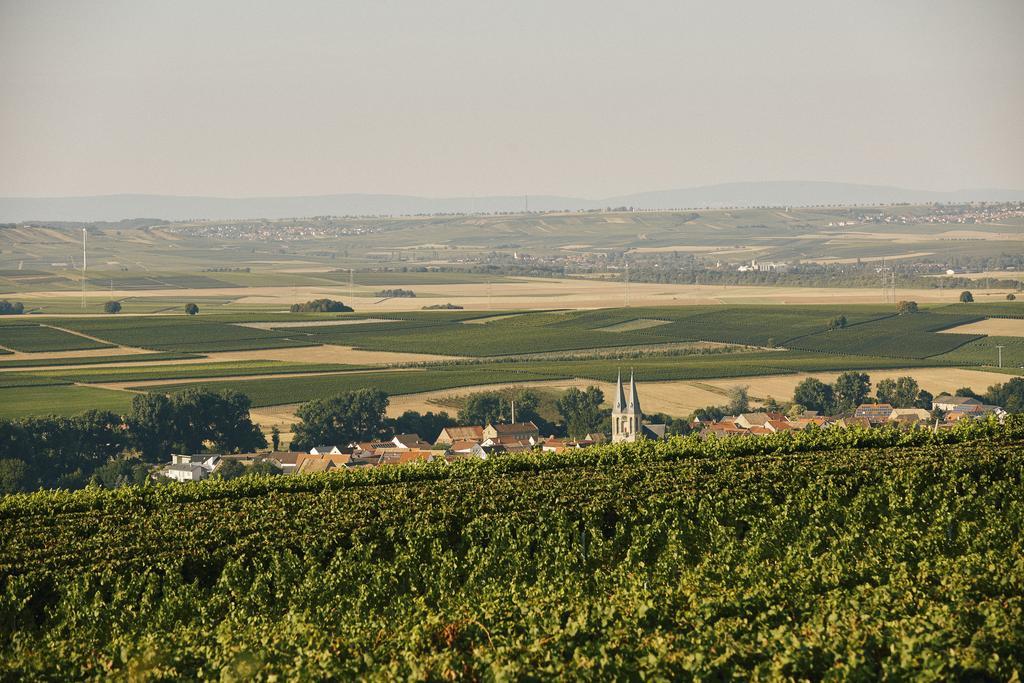 Meyerhof - Bioweingut, Vinothek & Gaestehaus Flonheim Eksteriør bilde