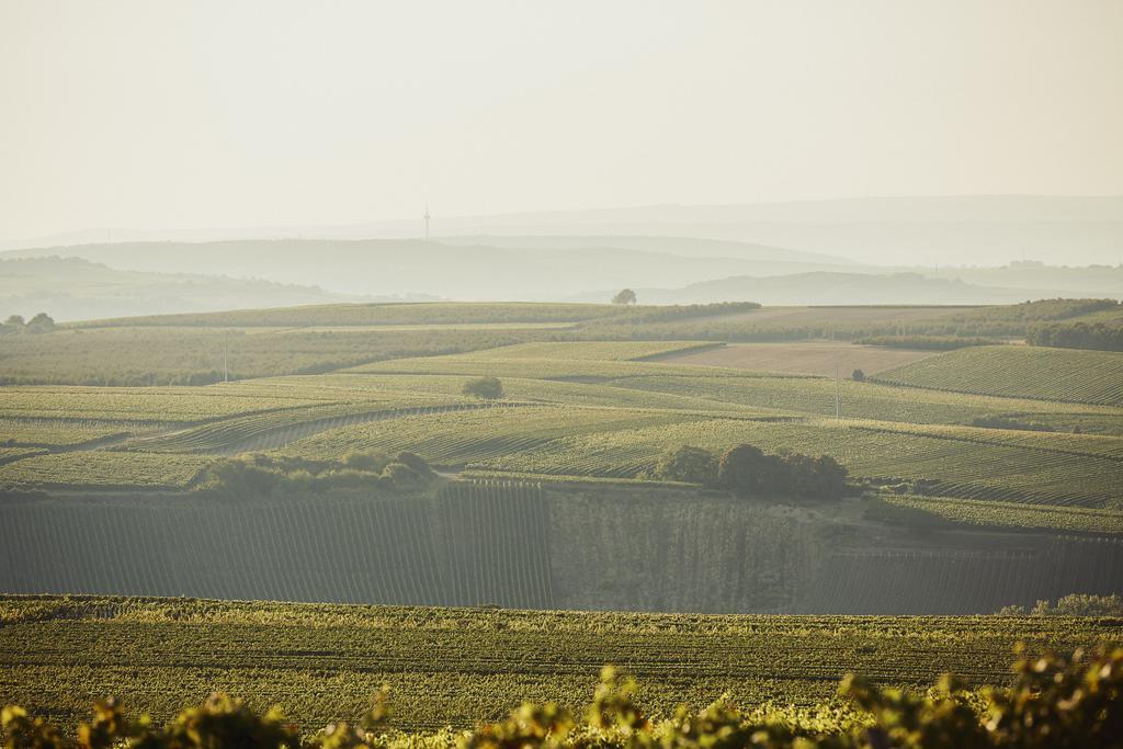 Meyerhof - Bioweingut, Vinothek & Gaestehaus Flonheim Eksteriør bilde